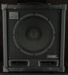 Roland Cube Bass 120XL