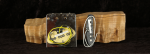 Squier Tele Thinline PU szett